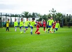 多特蒙德欧,冠逆袭成功,阿莱关键转,pg游戏官网登录入口,PG电子最新官网,pg游戏官网登录入口,pg电子游戏app