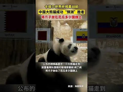 英伟达发布全新显卡首批库存一分钟内全网售罄
