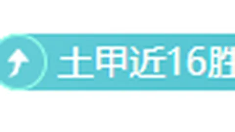 篮球赛事分析：篮网对阵独行侠实力对比